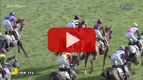 浜松ステークス 予想 競馬予想ウマークス